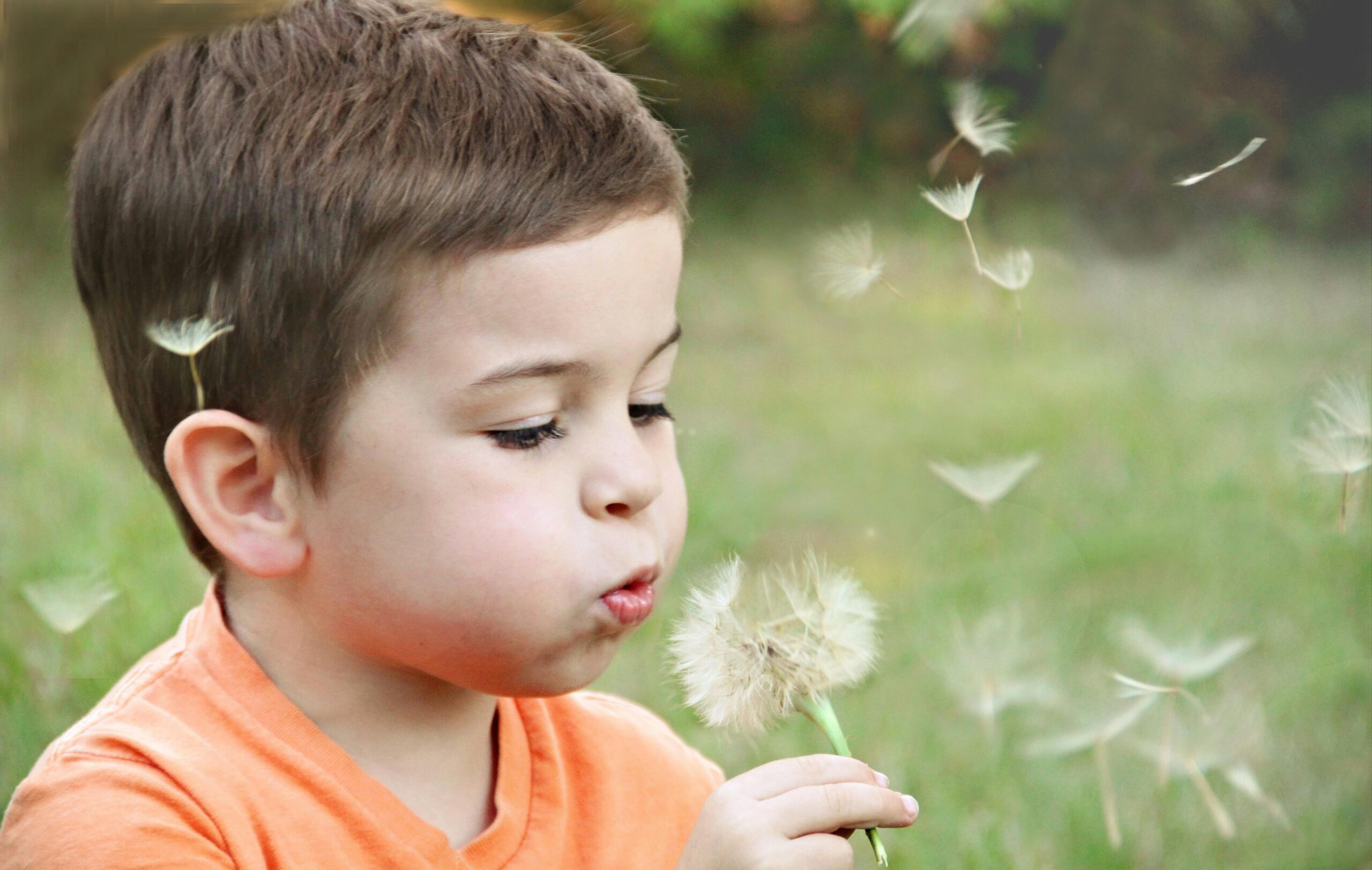 A young boy blowing dandelion seeds in a sunny park, capturing innocence.