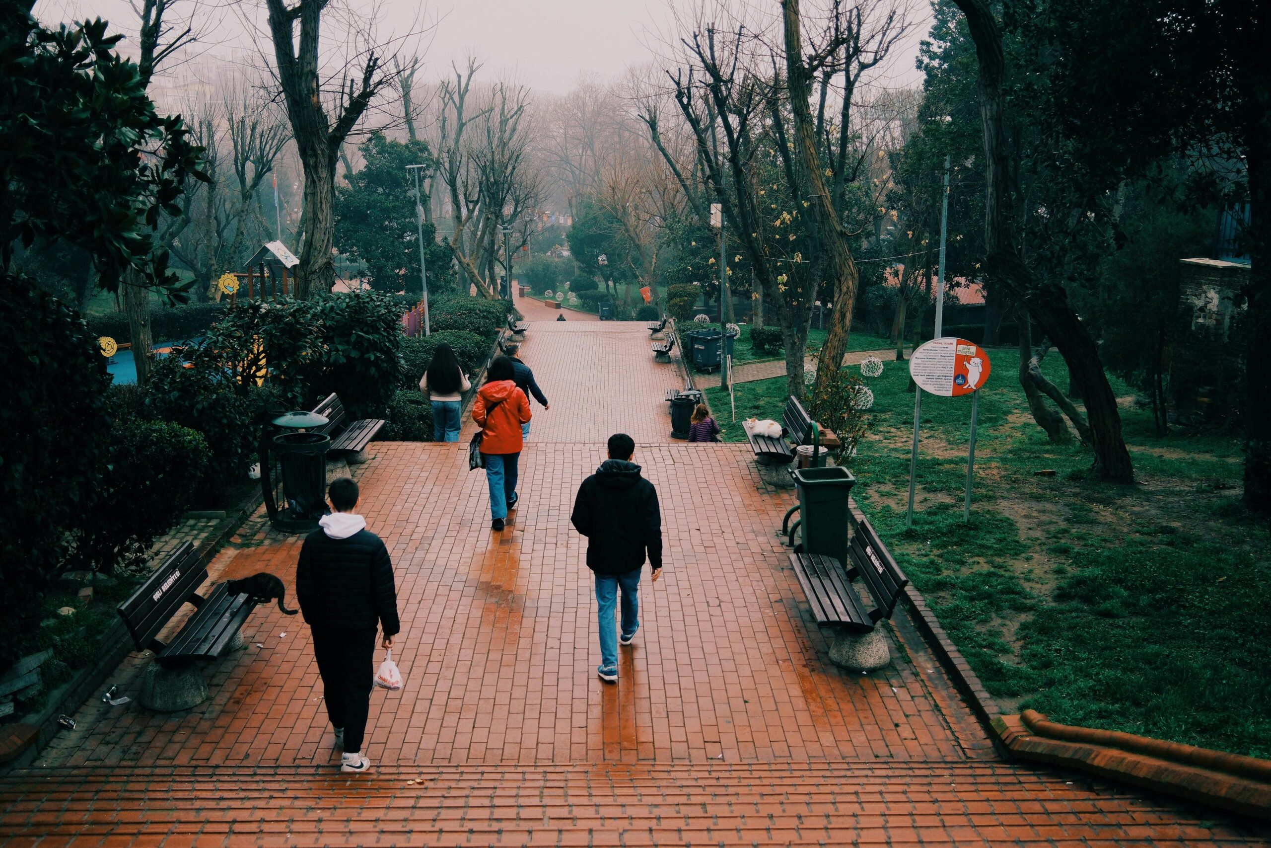 A serene scene of people walking down a misty park pathway on a cloudy day.