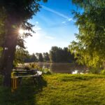 Peaceful morning scene with sunlight through trees by a lake in Wittichenau.