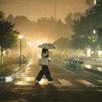 Person under umbrella crossing street in a rainy night city scene.